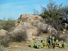 photo thumbnail #13