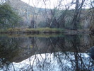 photo thumbnail #10
