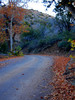 photo thumbnail #1