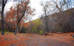 photo thumbnail #4