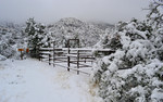photo thumbnail #2