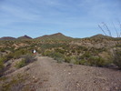 photo thumbnail #2