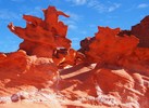 photo thumbnail #4