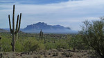 photo thumbnail #5