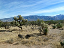 photo thumbnail #5