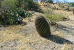 photo thumbnail #6