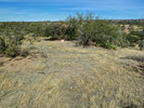 photo thumbnail #15