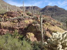 photo thumbnail #4