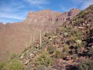 photo thumbnail #9