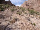 photo thumbnail #13