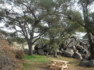 photo thumbnail #4