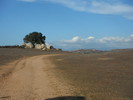 photo thumbnail #10