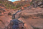 photo thumbnail #7
