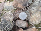 photo thumbnail #12