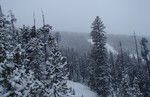 photo thumbnail #8