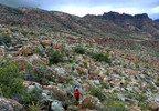 photo thumbnail #11