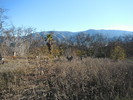 photo thumbnail #12