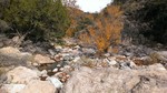 photo thumbnail #9