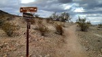 photo thumbnail #13