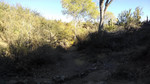 photo thumbnail #13