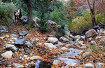 photo thumbnail #9