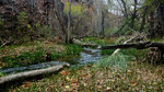 photo thumbnail #5