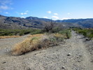photo thumbnail #3