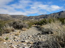 photo thumbnail #4