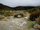 photo thumbnail #8