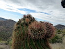 photo thumbnail #14
