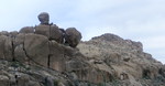 photo thumbnail #4