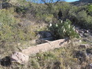 photo thumbnail #2