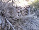 photo thumbnail #3
