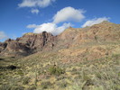 photo thumbnail #3