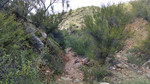 photo thumbnail #11