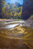 photo thumbnail #15