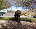 photo thumbnail #3