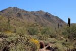 photo thumbnail #1