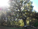 photo thumbnail #14