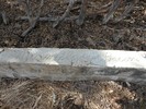 photo thumbnail #5