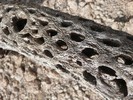 photo thumbnail #9