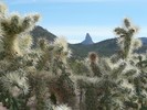 photo thumbnail #10