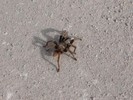 photo thumbnail #14