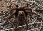 photo thumbnail #3