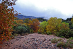 photo thumbnail #8