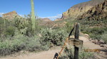 photo thumbnail #14