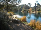 photo thumbnail #6