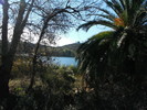 photo thumbnail #8