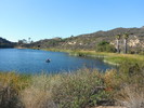 photo thumbnail #9