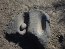 photo thumbnail #9